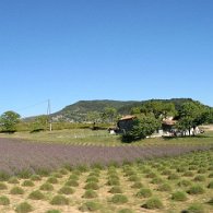 00015_IMG_0422